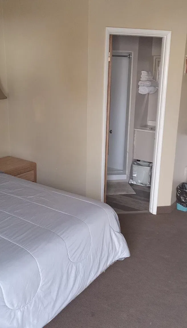 1 bed, 500 sqft, $800 — Photo 3