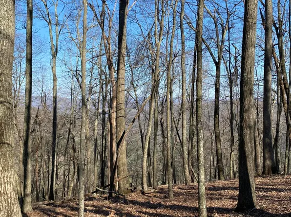10 Bear Trak, Gap Mills, WV 24941