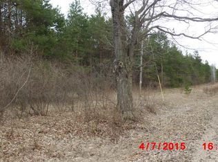 8255 Lenz Rd, Kaleva, MI 49645