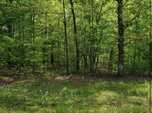 0 Lakewood Dr Lot 21-23, Beechgrove, TN 37018