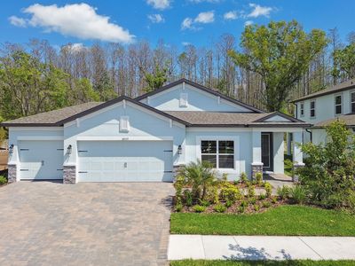 20339 Oriana Loop, Land O Lakes, FL, 34638