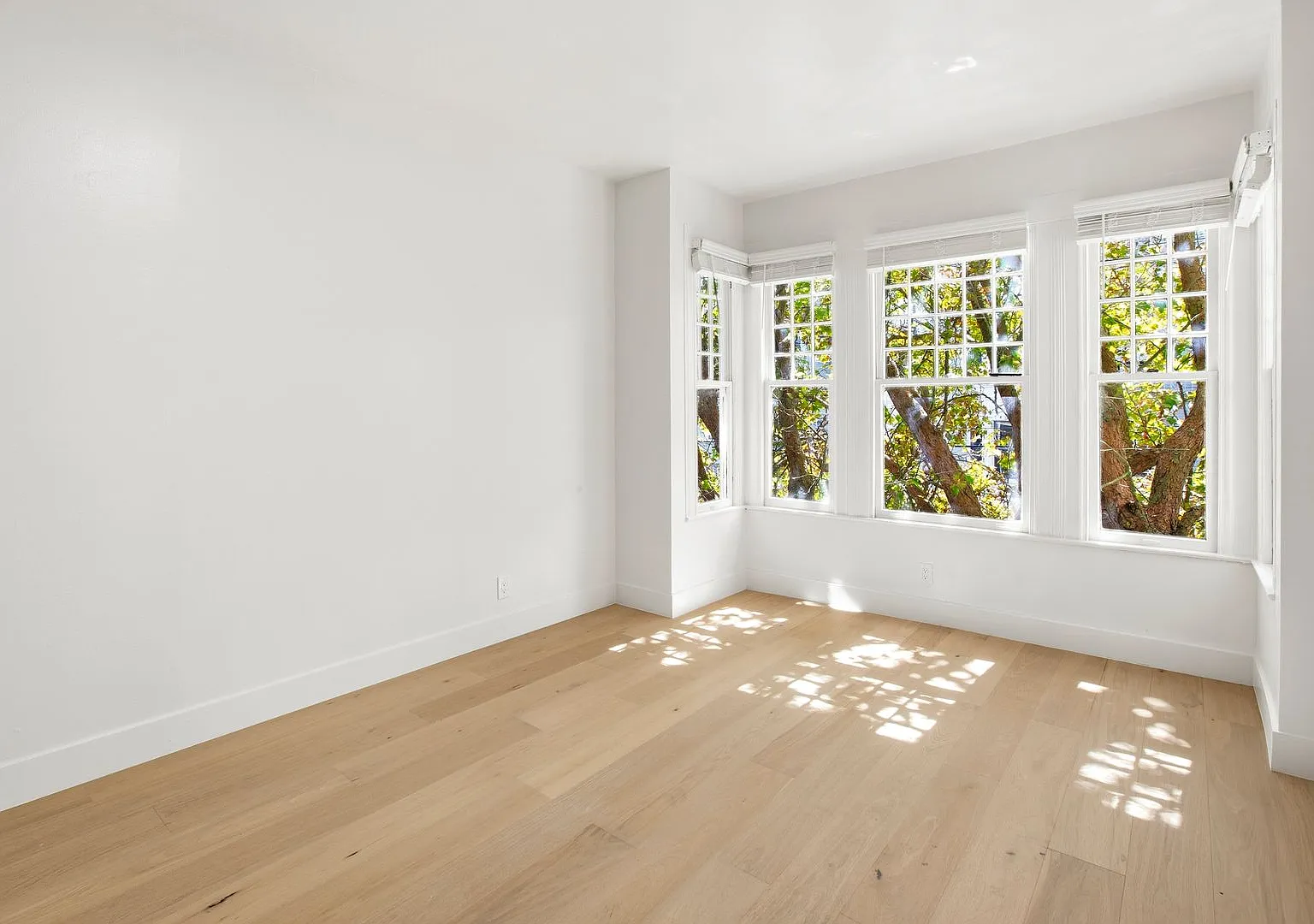 Newly Renovated Haight Ashbury One Bedroom! — Photo 1