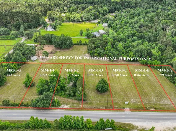 TRACT Mm #1-A, Livingston, LA 70754