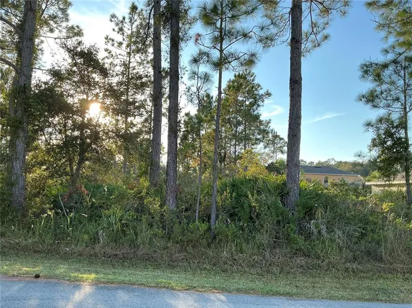 32 Sea Front Trl Lot 23, Palm Coast, FL 32164