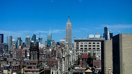 Sold by Ann Weintraub, Ltd.