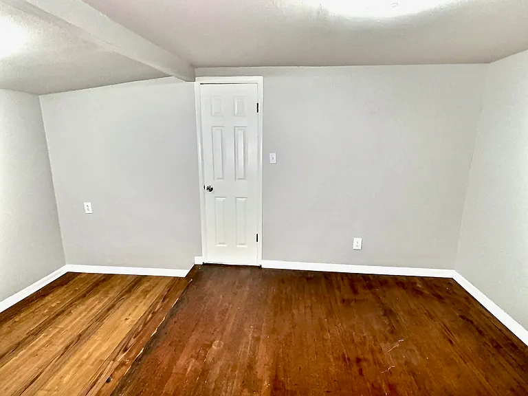 411 Palmetto St — Photo 23