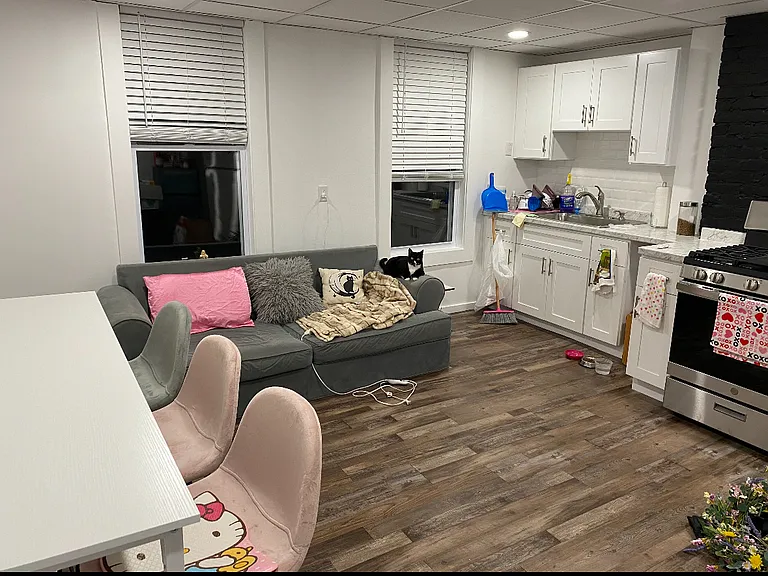 153 Oakland Ave #3B — Photo 3