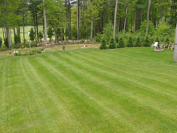 back yard