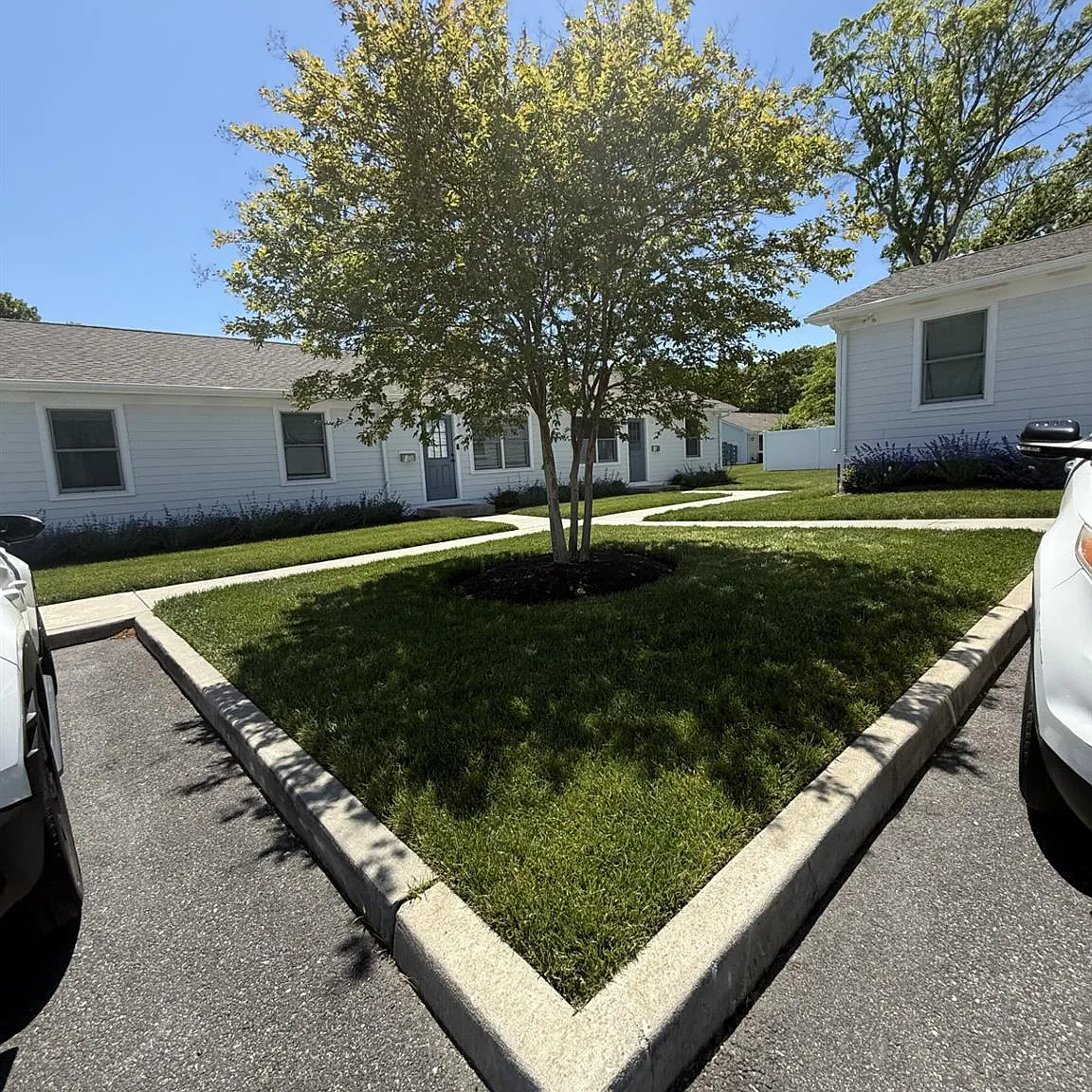 2 bed, 1.0 bath, $3,200 — Photo 1