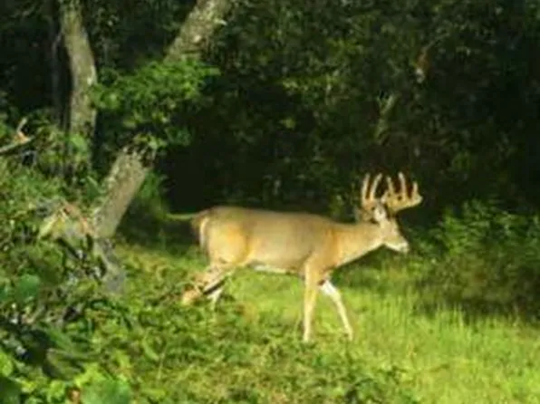 633 Lake Road, Melrose, WI 54642