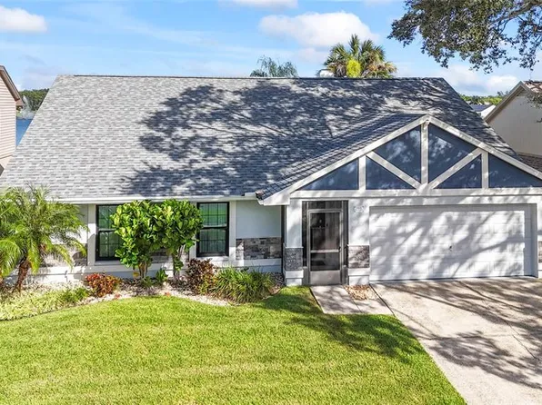 1915 Blue Sage Ct, Brandon, FL 33511