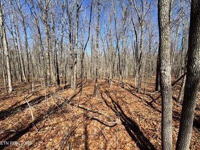 Veterans Lookout, Wilder, TN, 38589
