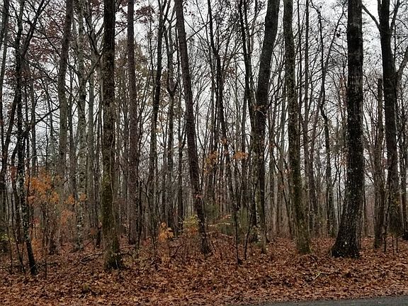 2nd image of 0 Coleman Rd