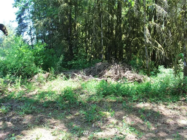 259 Avery Road W, Winlock, WA 98596