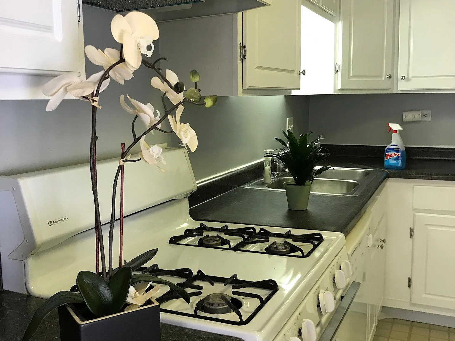 2 bed, 1200 sqft, $1,950 — Photo 4