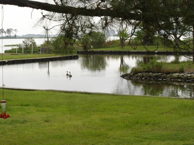 (View from kitchen and deck