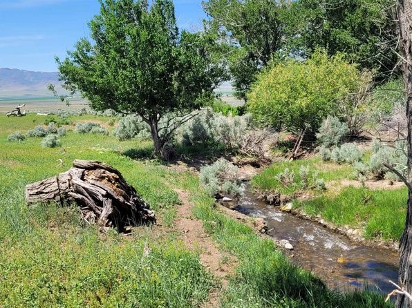 42957 Horse Creek Rd, Orovada, NV 89425