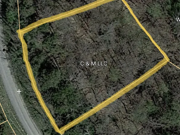 Iron Gate Dr, White Pine, TN 37890