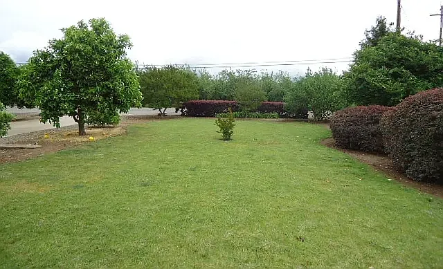 9225 Stanford Ln — Photo 4