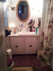 1st image of 5 Royal Palm Cir