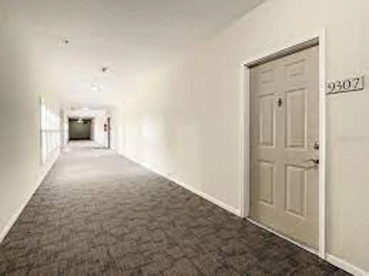 2 bed, 1050 sqft, $2,000 — Photo 4