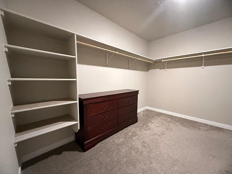 Primary spacious walk-in closet with built in shelves, hanging rods, and room for a dresser.