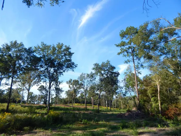 Highway 259, Ore City, TX 75683