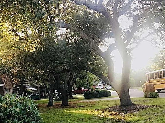 2nd image of 5050 Mandavilla Blvd