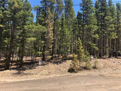Silver Creek Road, Idaho Springs, CO, 80452