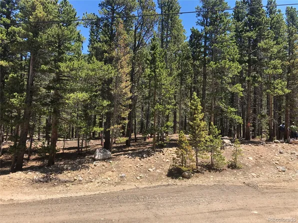 Silver Creek Road, Idaho Springs, CO 80452