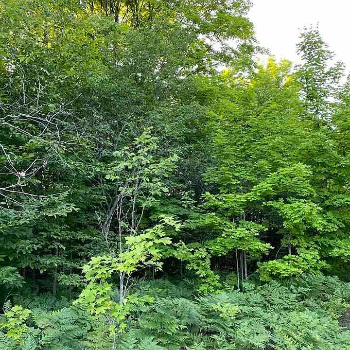 2nd image of 8281-12 Country Rd NE