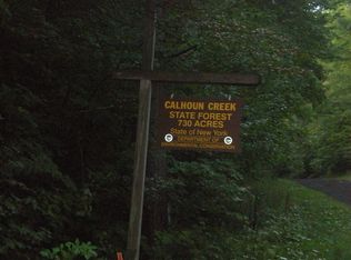 287 Hilsinger Rd, Morris, NY 13808