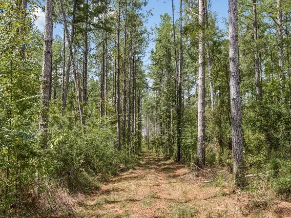 Chapel Drive &county Line Rd, Summit, MS 39666