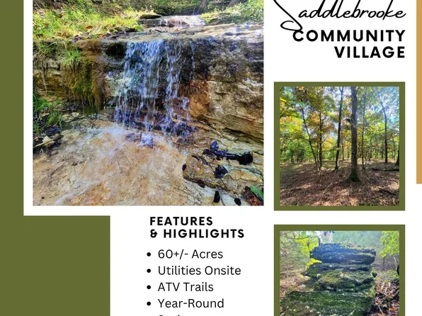 000 Dry Hollow Road, Saddlebrooke, MO 65630