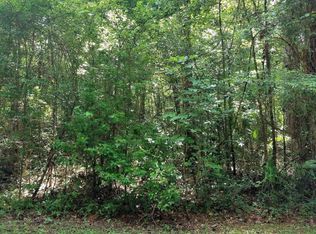 1510 Palm St NE, Steinhatchee, FL 32359