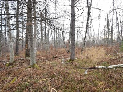 0 N Fire Lane Rd, Danbury, WI, 54830
