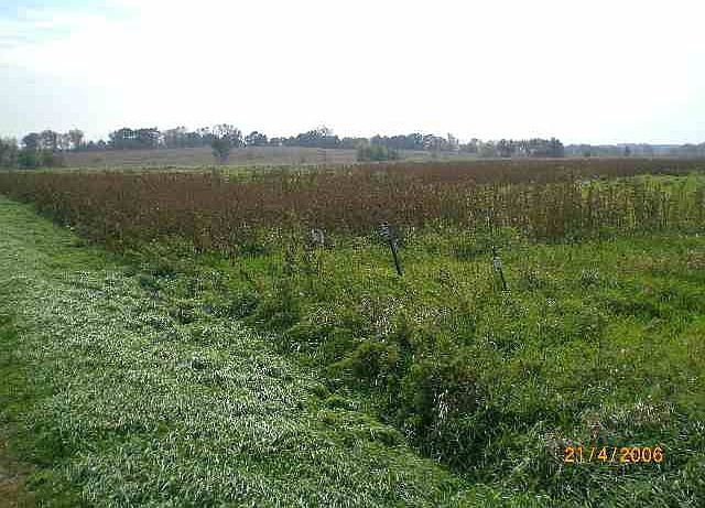 2nd image of Sawyer Rd