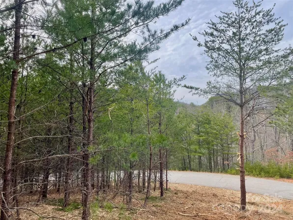 0 Clear Creek Trl, Lake Lure, NC 28746