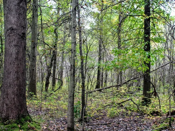 45077 38th Ave, Paw Paw, MI 49079