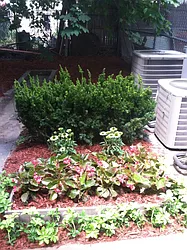 Rented by Urban Pads