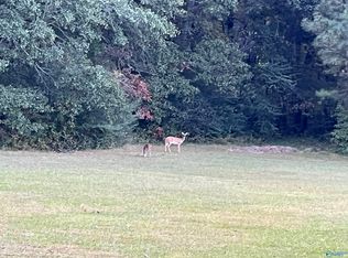 20 Sierra Dr SW, Decatur, AL 35603