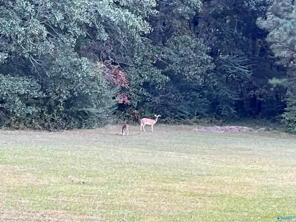 20 Sierra Dr SW, Decatur, AL 35603