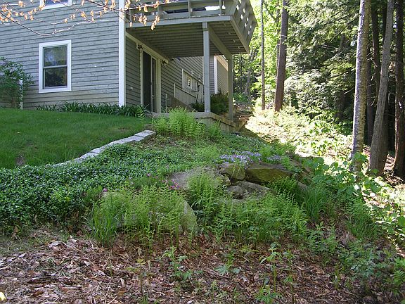 Deck overlooking brook