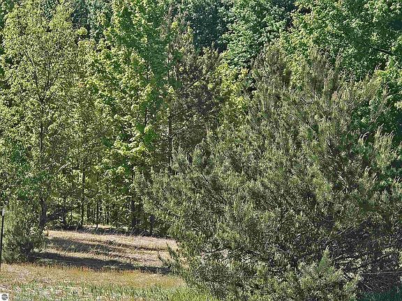 4th image of V/l Se Grass Lake Rd Parcel C