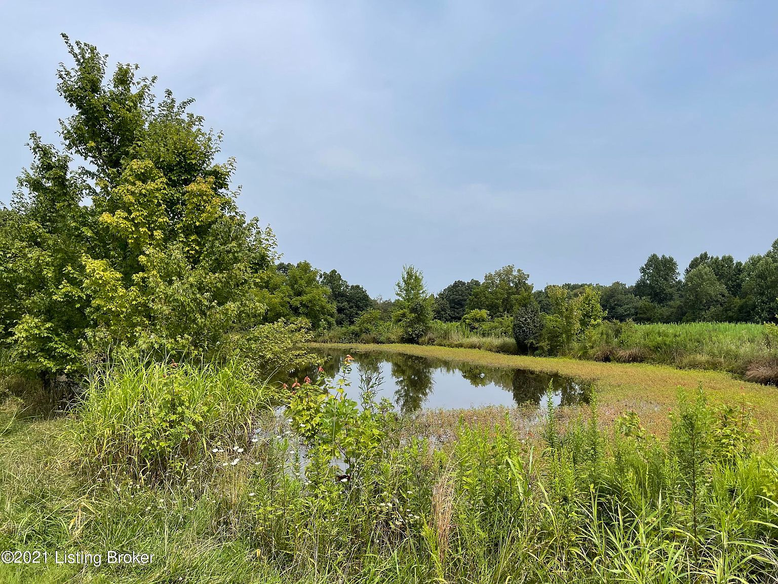 1555 Apple Jack Rd, Payneville, KY 40157 Zillow