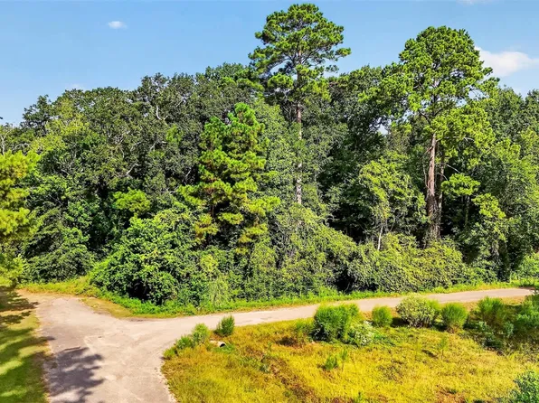 TRACT 136 Garden W, Conroe, TX 77304