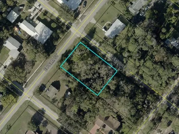 E Palm St Lot 7, Bunnell, FL 32110