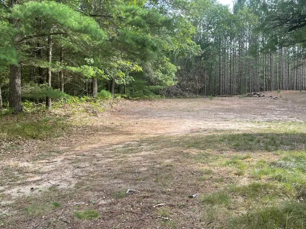 2987 E Koenig Rd, Free Soil, MI 49411