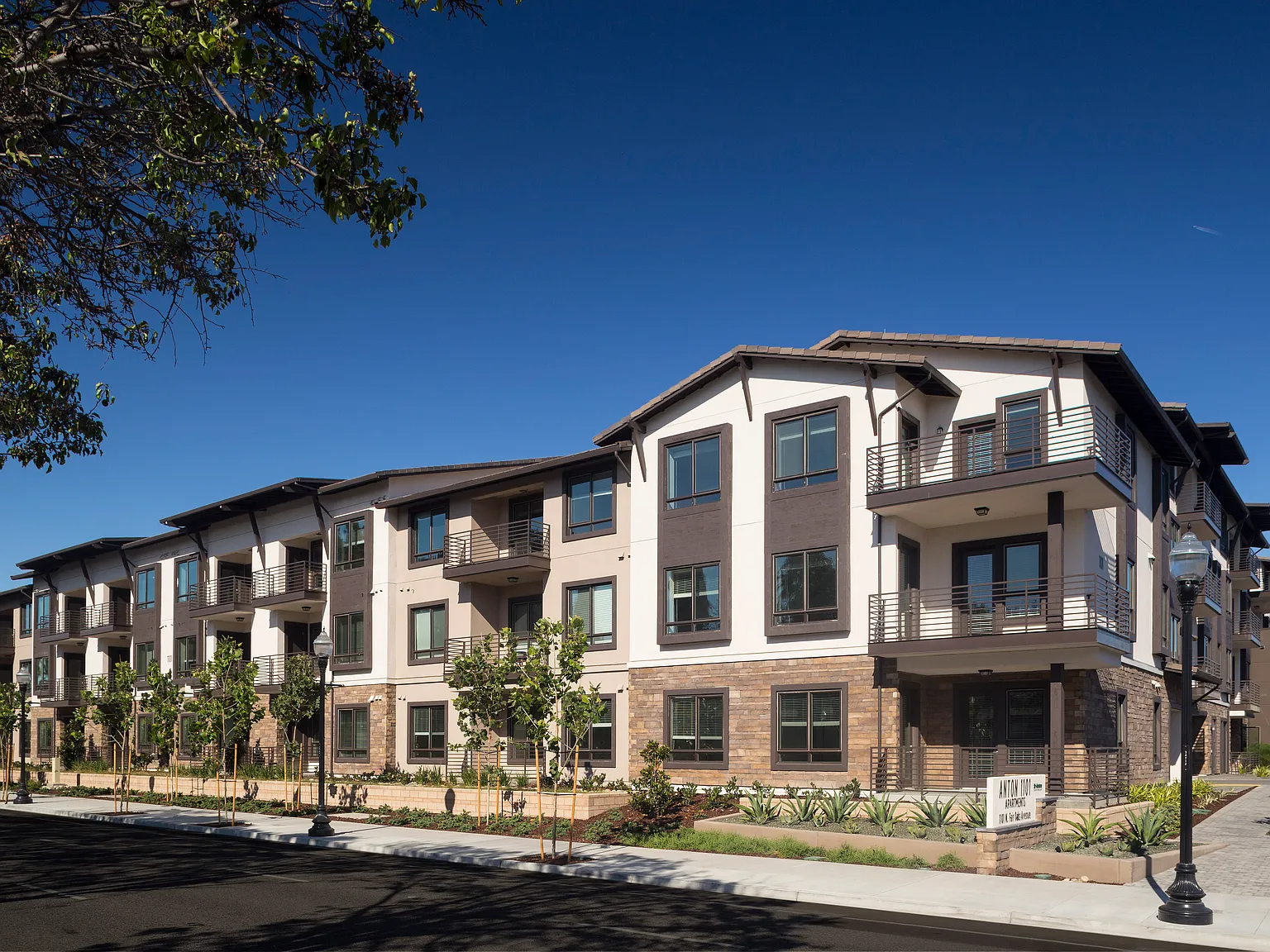 Anton 1101 Apartments — Photo 2