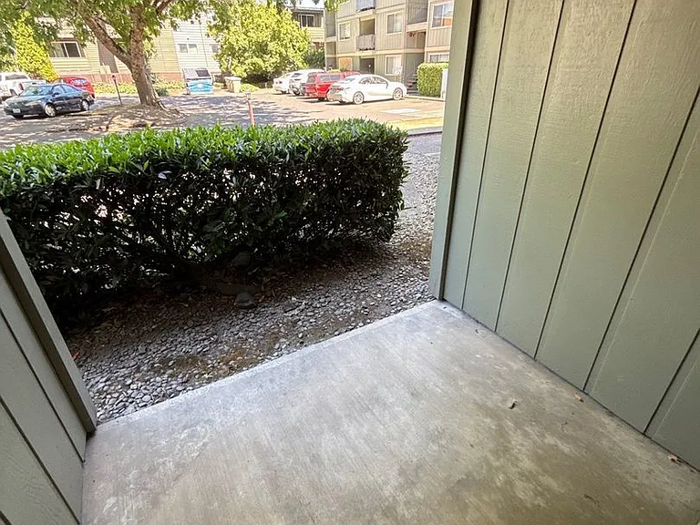 Ashwood Apartments — Photo 15